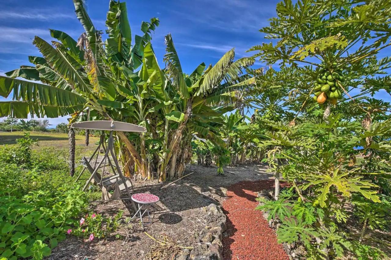 Tranquility Guest House Holualoa Kültér fotó